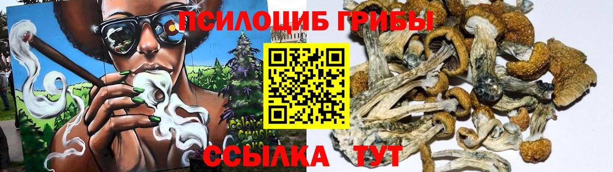Псилоцибиновые грибы ЛСД  Вход с VPN  Дедовск 