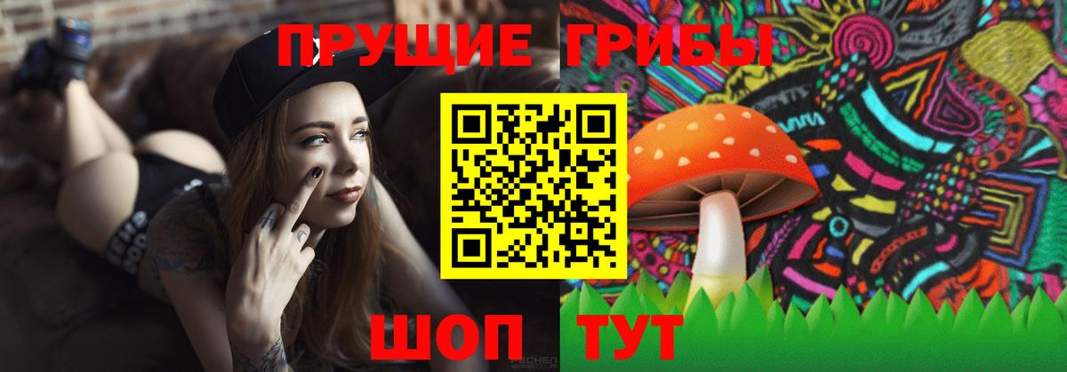 Псилоцибиновые грибы мухоморы Дедовск
